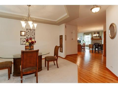 11910 Winterberry Ln, Plainfield, IL 60585 photo 8