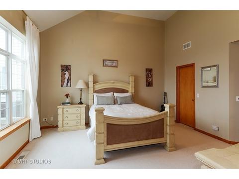 11910 Winterberry Ln, Plainfield, IL 60585 photo 12