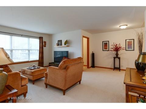11910 Winterberry Ln, Plainfield, IL 60585 photo 11