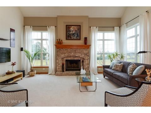 11910 Winterberry Ln, Plainfield, IL 60585 photo 3