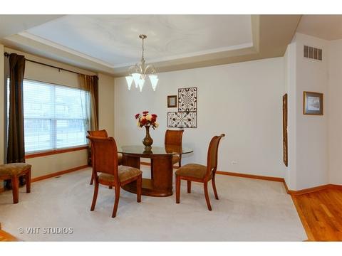 11910 Winterberry Ln, Plainfield, IL 60585 photo 7