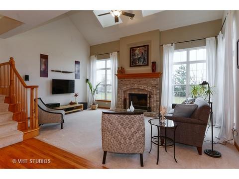 11910 Winterberry Ln, Plainfield, IL 60585 photo 4