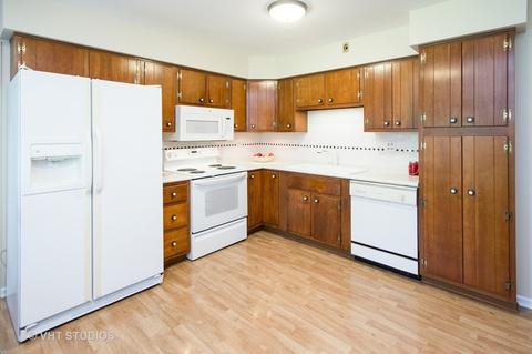 616 Burning Tree Ln, Naperville, IL 60563 photo 3