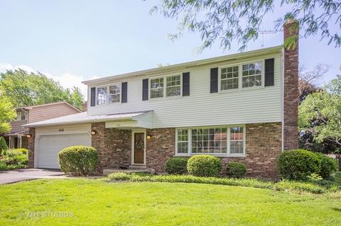 616 Burning Tree Ln, Naperville, IL 60563 photo 1
