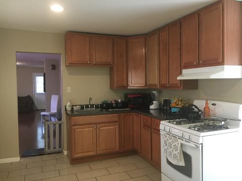 514 4th Ave, Aurora, IL 60505 photo 8