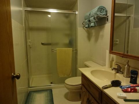 229 Gingerbrook Ln, Bartlett, IL 60103 photo 11