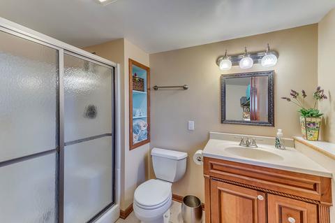 320 Suffield Ct, Geneva, IL 60134 photo 20
