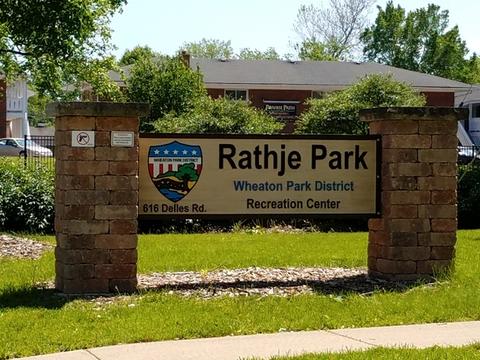 610 Crest St, Wheaton, IL 60187 photo 24