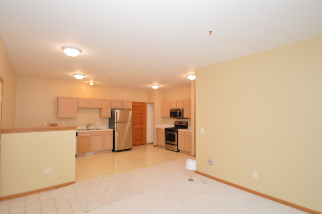 690 Mill Cir #105, Wheeling, IL 60090 photo 7