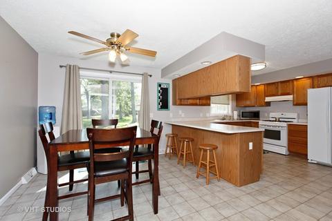 331 Oak St, Braidwood, IL 60408 photo 4
