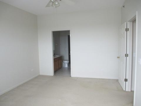 3135 Town Square Dr #403, Rolling Meadows, IL 60008 photo 10