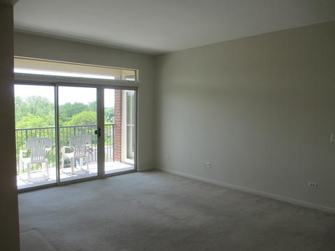 3135 Town Square Dr #403, Rolling Meadows, IL 60008 photo 3