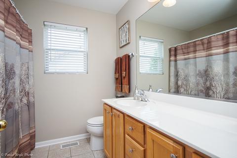 24042 Norfolk Ln, Plainfield, IL 60585 photo 20