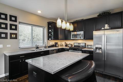 24042 Norfolk Ln, Plainfield, IL 60585 photo 4