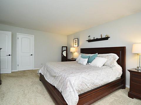 419 E Adams St, Elmhurst, IL 60126 photo 30