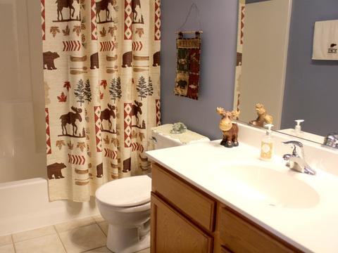 2390 Mayfield Dr, Montgomery, IL 60538 photo 11