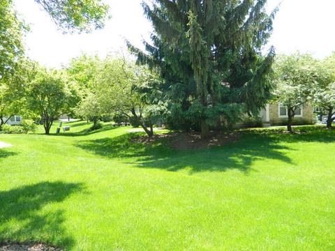 4597 Jade Ln, Hoffman Estates, IL 60192 photo 20