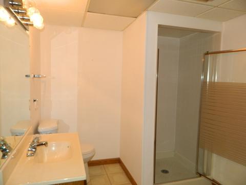 4597 Jade Ln, Hoffman Estates, IL 60192 photo 19