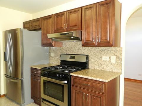 4597 Jade Ln, Hoffman Estates, IL 60192 photo 8