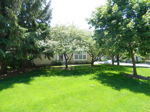 4597 Jade Ln, Hoffman Estates, IL 60192 photo 21