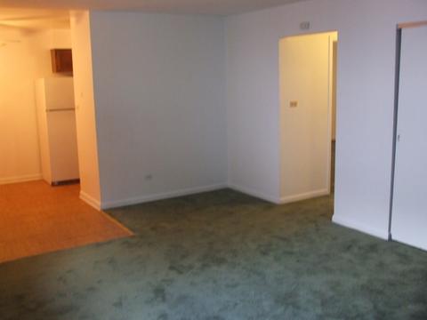 319 Locust St, Elgin, IL 60123 photo 6