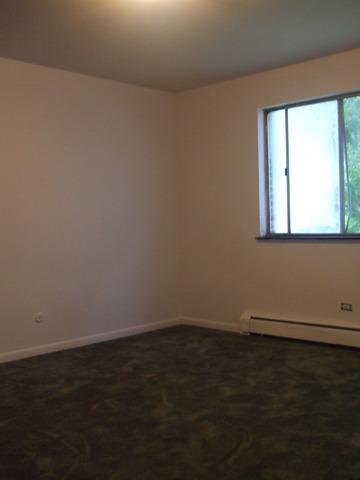 319 Locust St, Elgin, IL 60123 photo 13