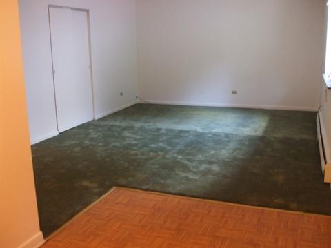319 Locust St, Elgin, IL 60123 photo 7
