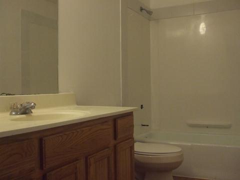 319 Locust St, Elgin, IL 60123 photo 15