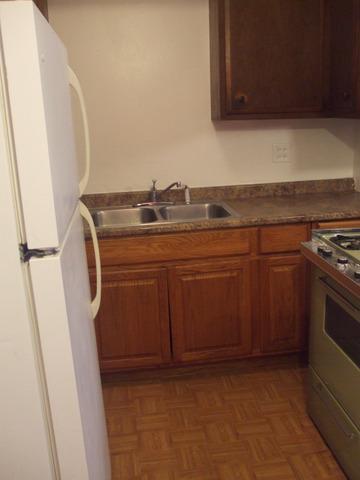 319 Locust St, Elgin, IL 60123 photo 14