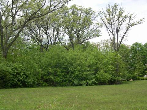 621 Derby Dr, Plano, IL 60545 photo 3