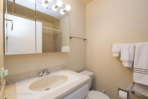 19 Oak Tree Ct, Elmhurst, IL 60126 photo 11