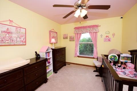 11601 S Derby Ln, Plainfield, IL 60585 photo 19