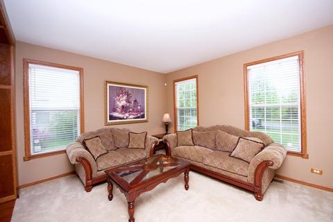 11601 S Derby Ln, Plainfield, IL 60585 photo 4