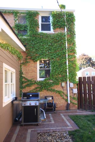 633 Rose Ave, Des Plaines, IL 60016 photo 33