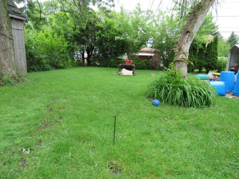 8340 Lorel Ave, Burbank, IL 60459 photo 21