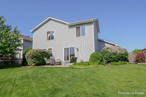 2108 Gray Hawk Dr, Plainfield, IL 60586 photo 27
