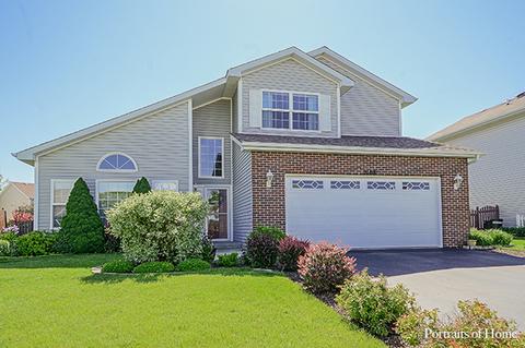 2108 Gray Hawk Dr, Plainfield, IL 60586 photo 1