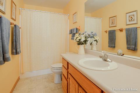 2108 Gray Hawk Dr, Plainfield, IL 60586 photo 20