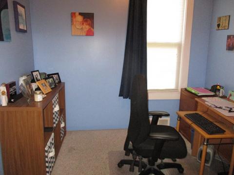 222 W Devlin St, Spring Valley, IL 61362 photo 8