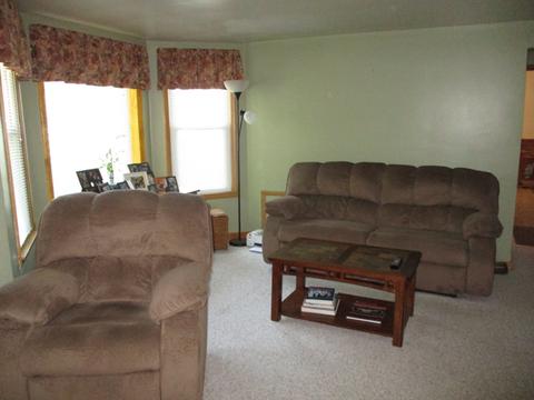 222 W Devlin St, Spring Valley, IL 61362 photo 4
