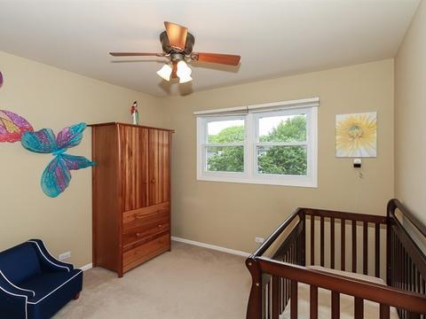 305 Terrace Dr, Bartlett, IL 60103 photo 19