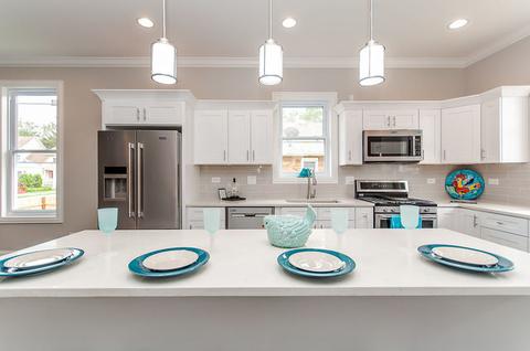 1009 Circle Ave, Forest Park, IL 60130 photo 10