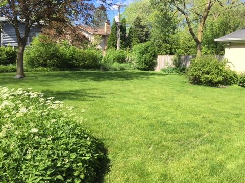 2412 Maple Ave, Northbrook, IL 60062 photo 13