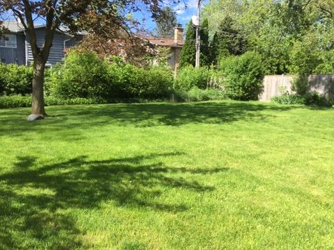 2412 Maple Ave, Northbrook, IL 60062 photo 14