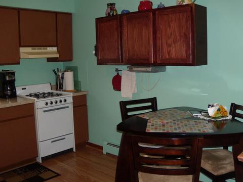 641 Pasadena Ave, Beecher, IL 60401 photo 5