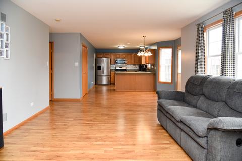 271 Spring Cove Dr, Beecher, IL 60401 photo 13