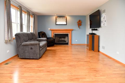 271 Spring Cove Dr, Beecher, IL 60401 photo 12