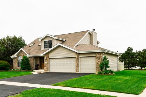 271 Spring Cove Dr, Beecher, IL 60401 photo 2