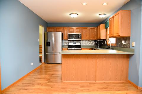 271 Spring Cove Dr, Beecher, IL 60401 photo 8