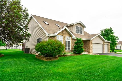 271 Spring Cove Dr, Beecher, IL 60401 photo 3